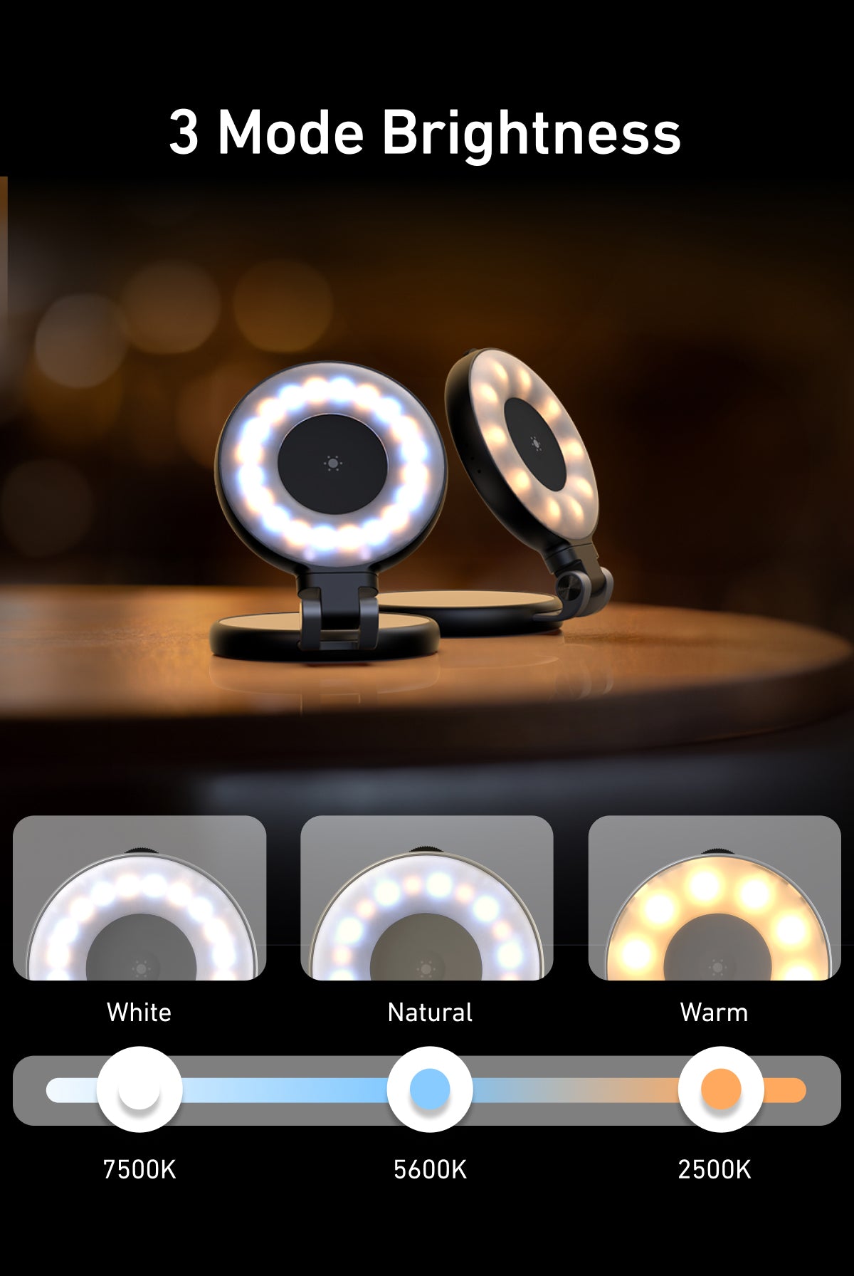 Telesin C03 drehbares MagSafe Selfie-Licht + Spiegel - Schwarz