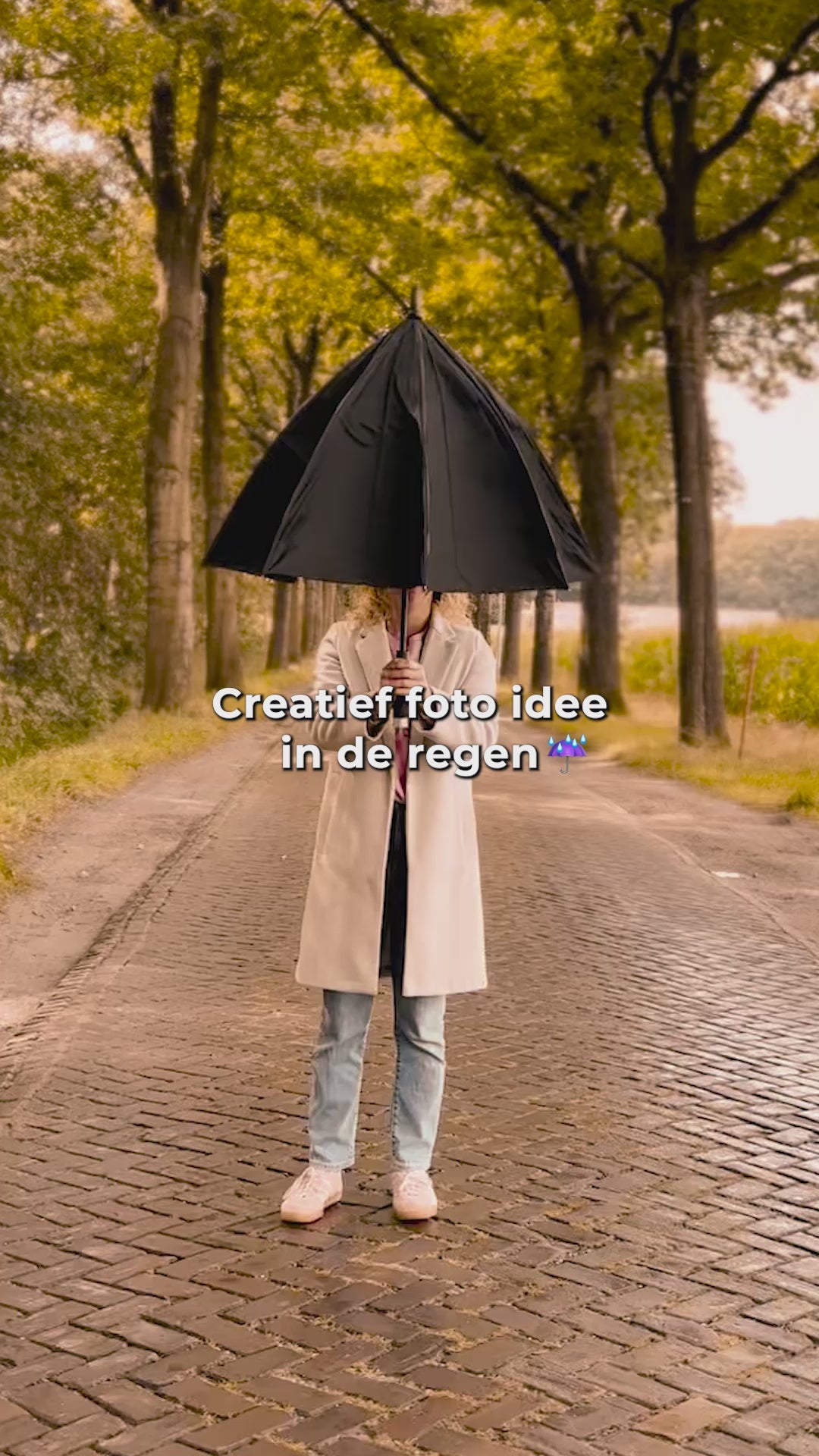 Video laden: 