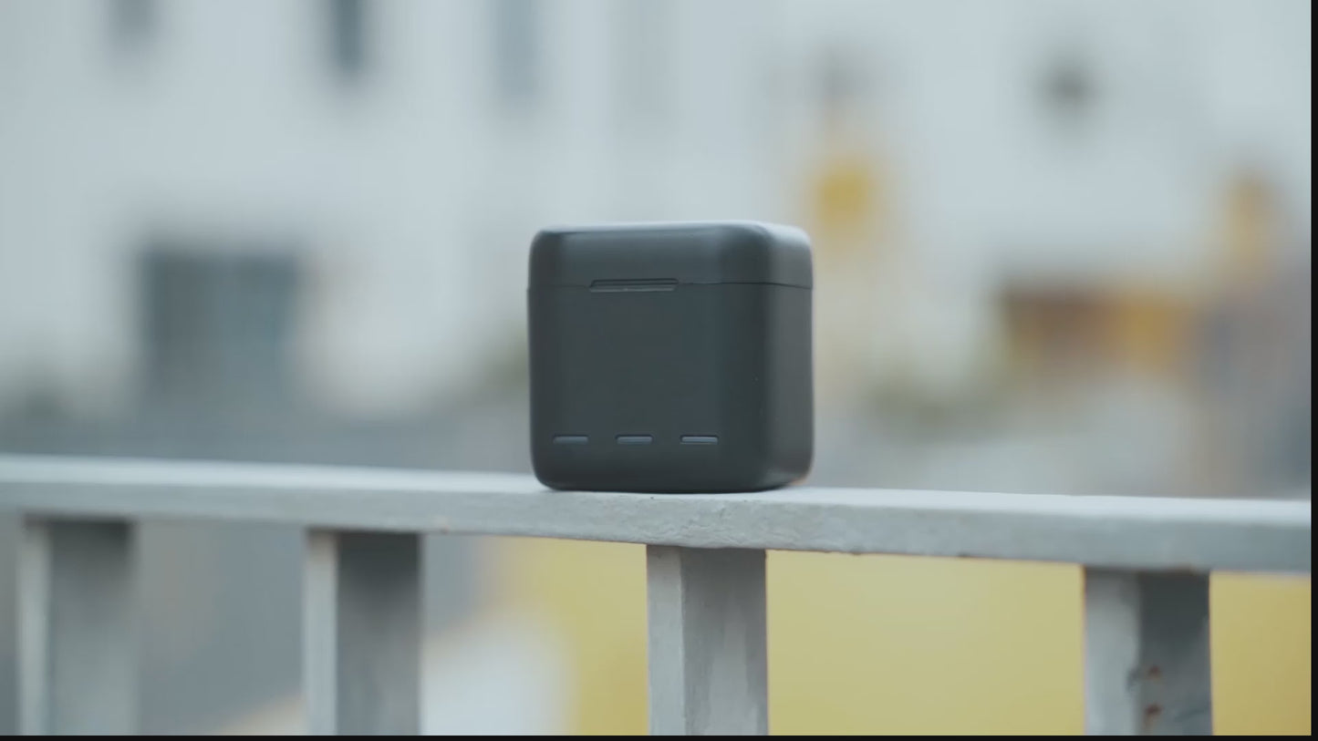 Telesin Ladebox mit 2 Akkus für GoPro 9/ 10 / 11 / 12